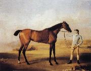 George Stubbs Molly Longlegs with Jockey oil painting reproduction